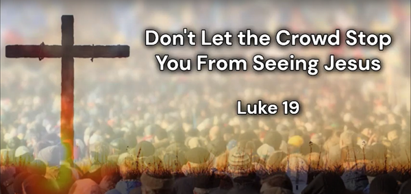 Sermon: Don't Let the Crowd Stop You From Seeing Jesus